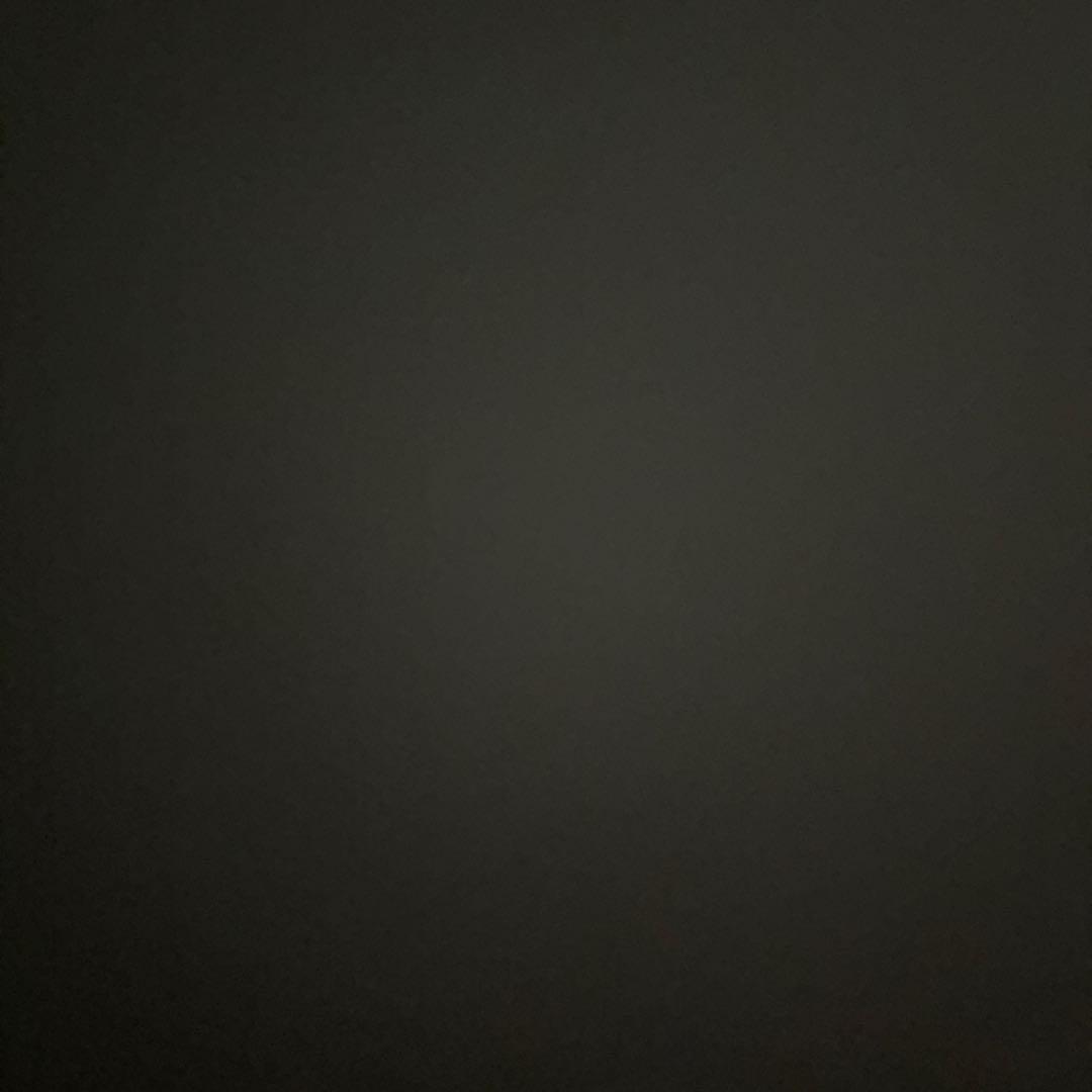 はぞんざラコステトラックジャケット