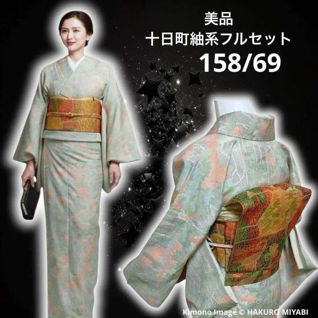 ほ*ん様 タ8879 未使用近い　美品　袷　紬　白紬　十日町紬系　小紋　正絹　フ