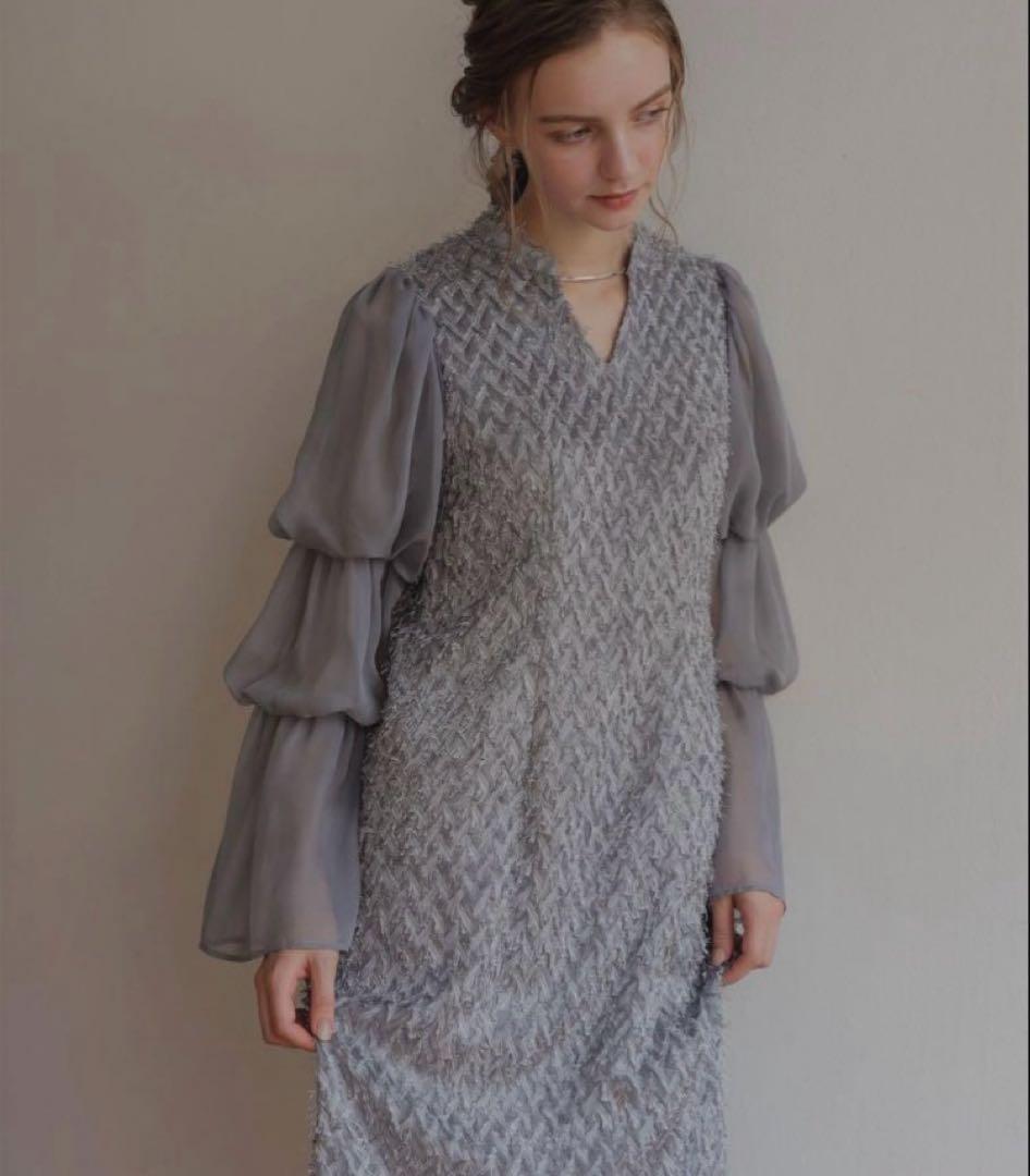 デザインスリーブシャギードレス 結婚式 およばれドレス　ドリードール