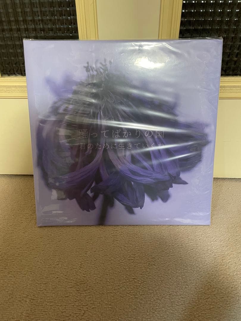 踊ってばかりの国 君のために生きていくね レコード