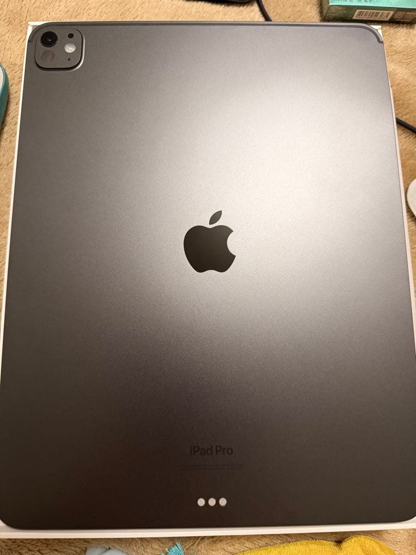 iPad Pro 256GB 13インチ M4チップ ジャンク品