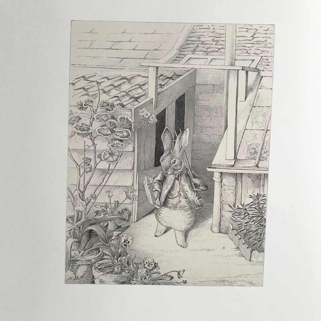 洋書 The Beatrix Potter Collection of LCotsen