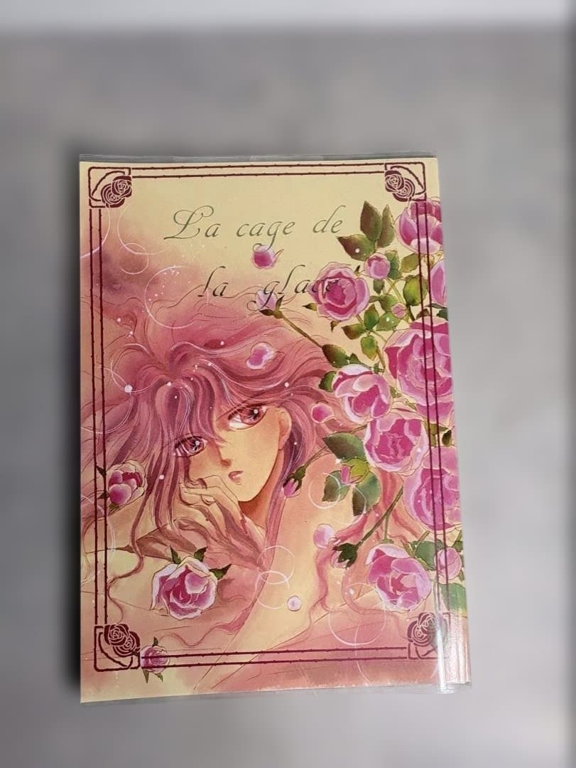 聖闘士星矢 同人誌 氷の檻 CANON SIDE 1990年発行 かもめの御殿