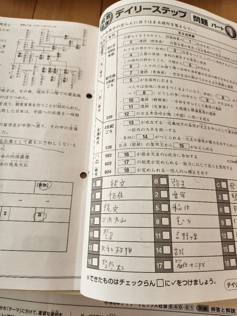 2025年度 サピックス 6年生 社会　欠番なし