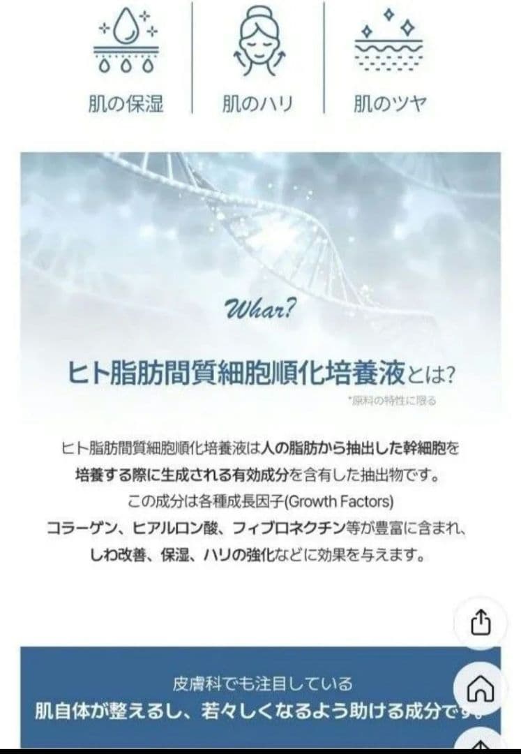 【10枚】CellCutis セルキュティス　シナジー 2ステップ マスク