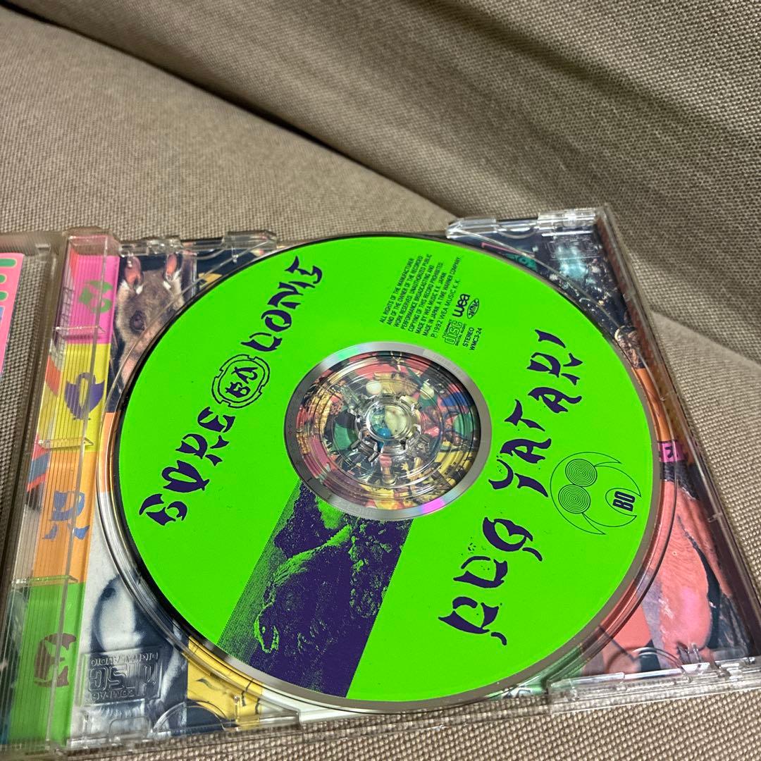 ボアダムズ　ポップタタリ&スーパールーツ5 BOREDOMS