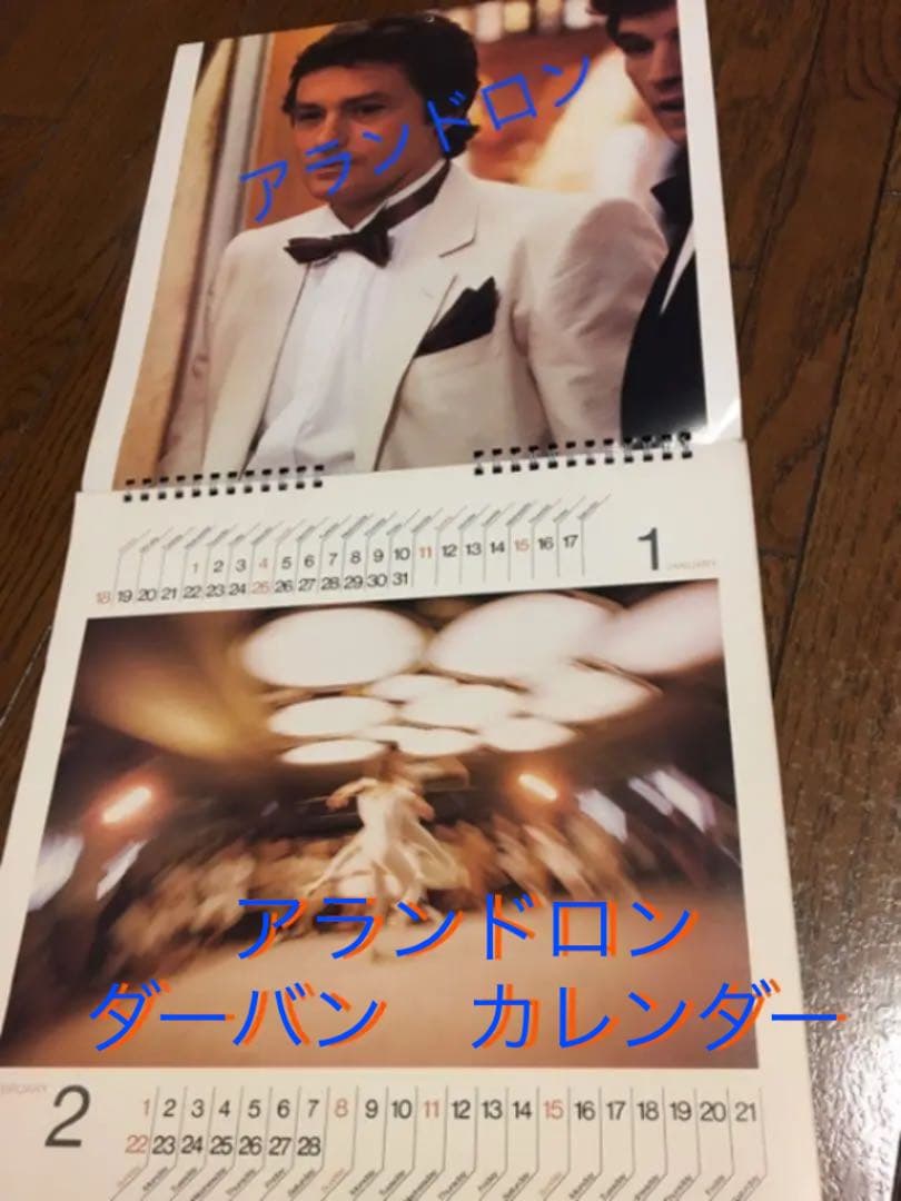 【貴重】アランドロン ダーバンカレンダー　1981