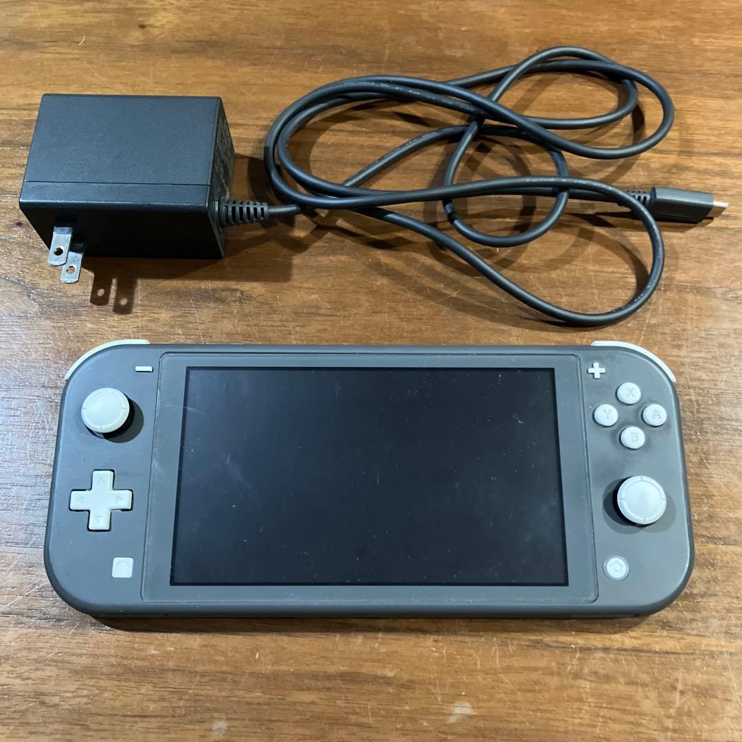 Nintendo Switch Lite 本体　ジャンク　充電器