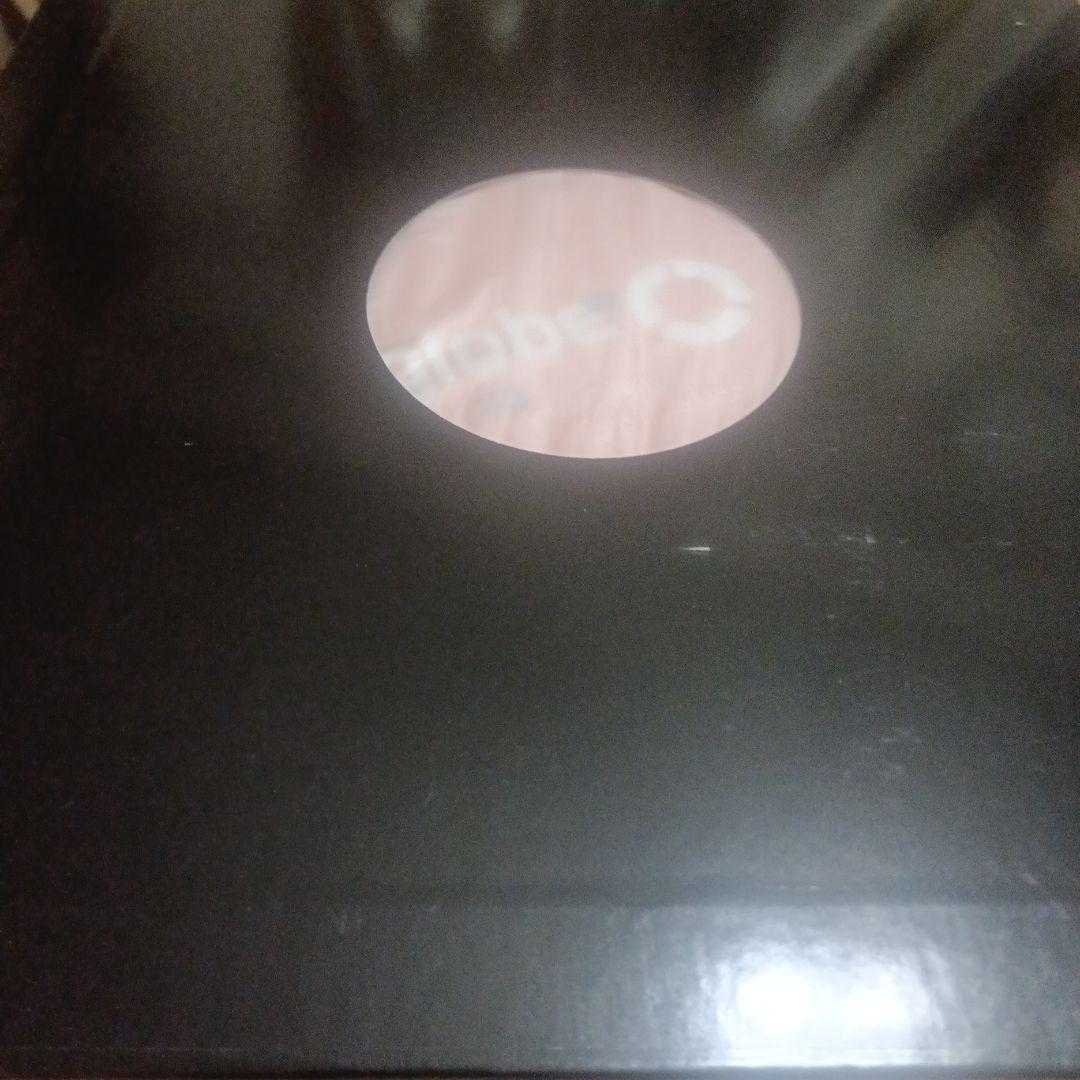 globe garden レコード lp 小室哲哉 非売品