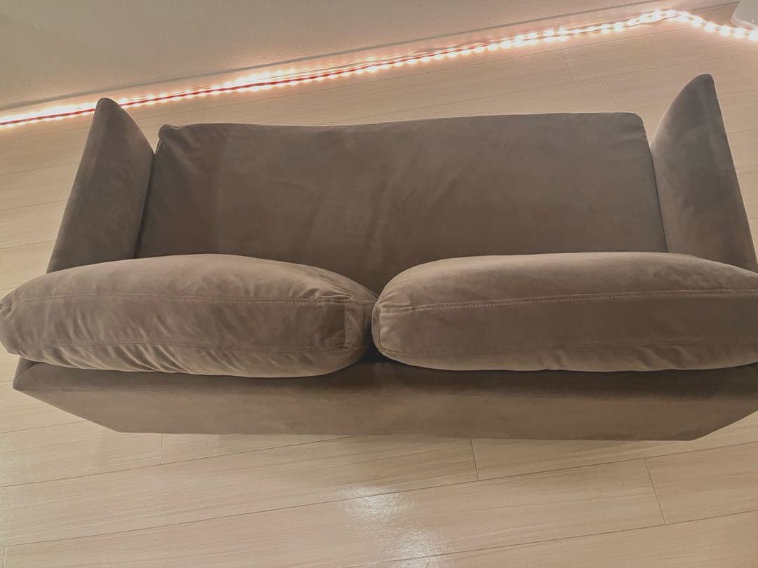 LOWYA ヨーロッパ風ベルベットソファ（2人掛け） -1