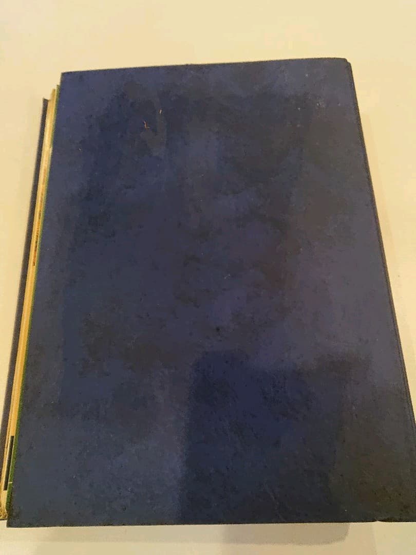 クリーパー 6冊 爬虫・両生類情報誌 創刊3号No.6・8・11・20・22