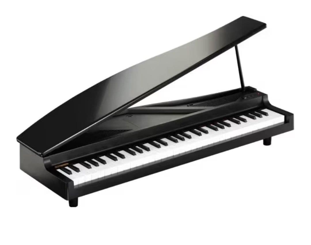 KORGMICROPIANOマイクロピアノミニ鍵盤61鍵 ブラック自動演奏可能