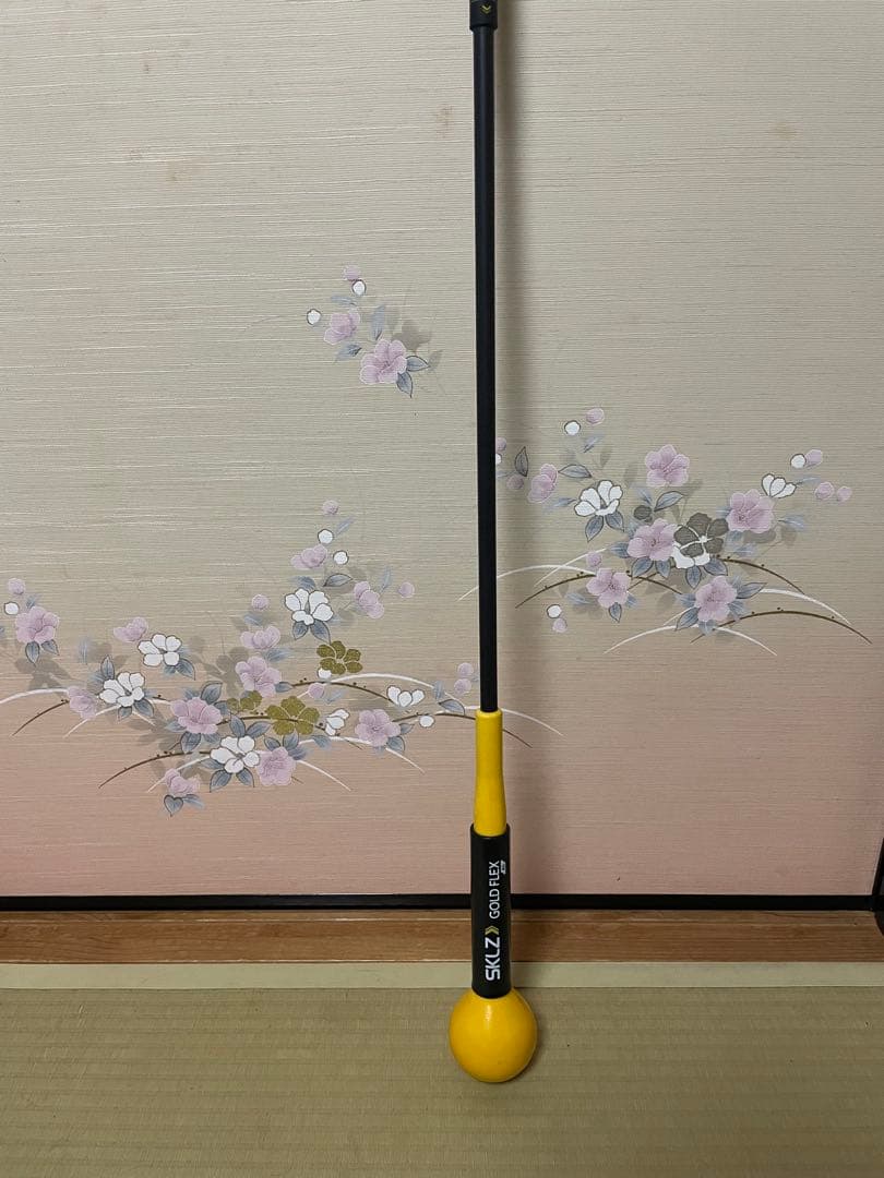 SKLZ Gold Flex ゴルフ練習用