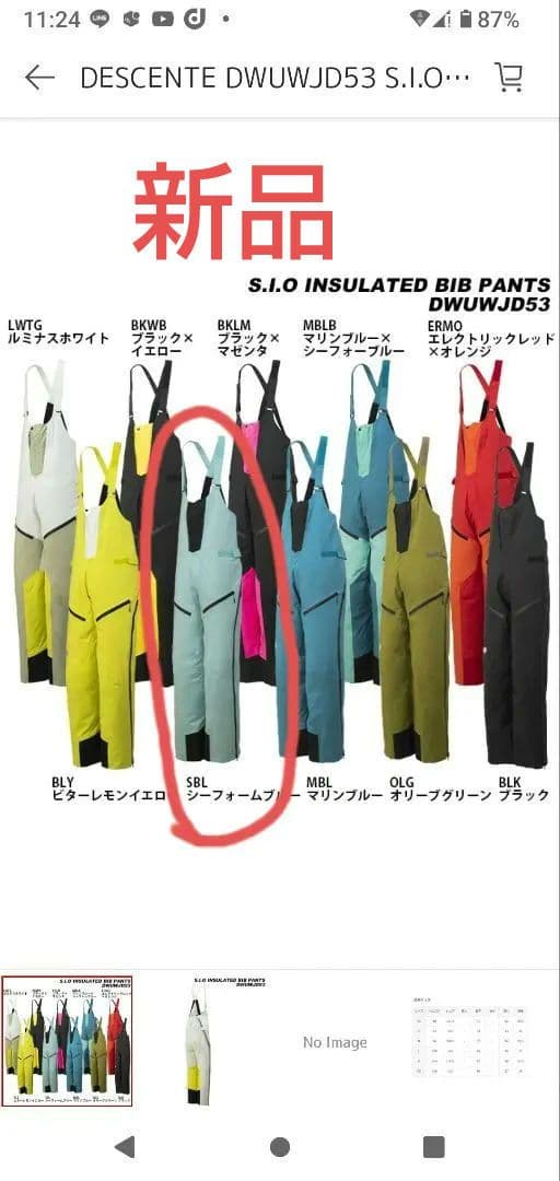 DESCENTE S.I.O インサレーテッドビブパンツ DWUWJD53