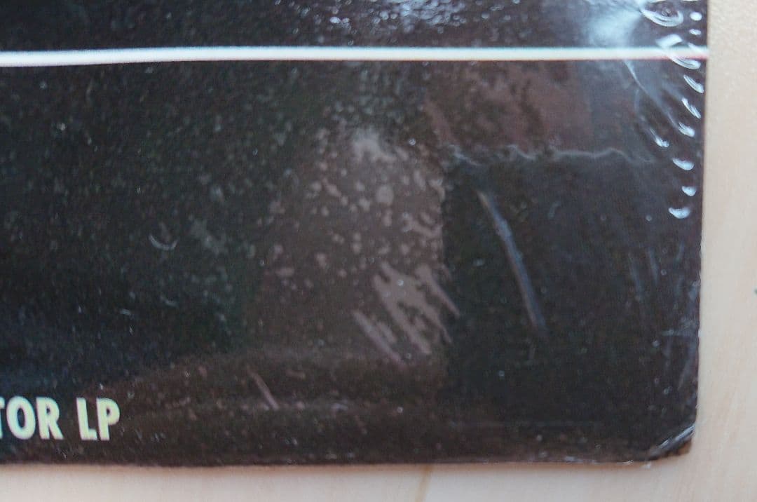 未開封 シールド ICE CUBE DAS EFX USオリジナル CHECK