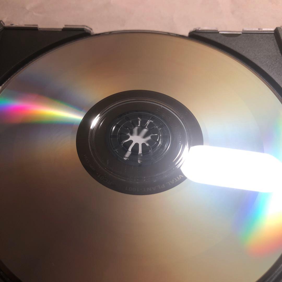 ガラGara 神楽 CD 邦パンク Sandinista!