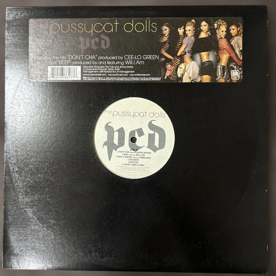 ⭐︎レア盤⭐︎the pussycat dolls / pcd（美品）送料無料