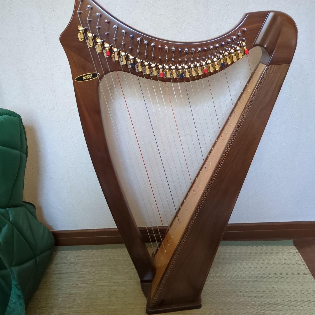 青山サウルハープ　２５弦