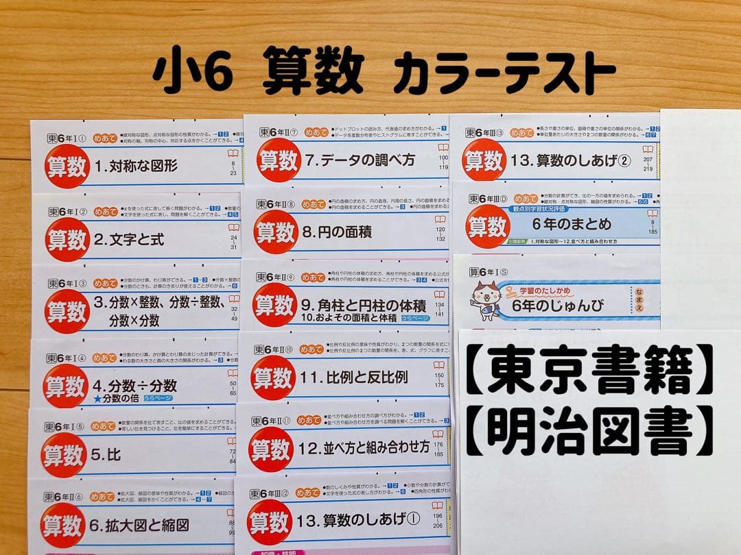 【小6】算数カラーテスト【東京書籍】【明治図書】